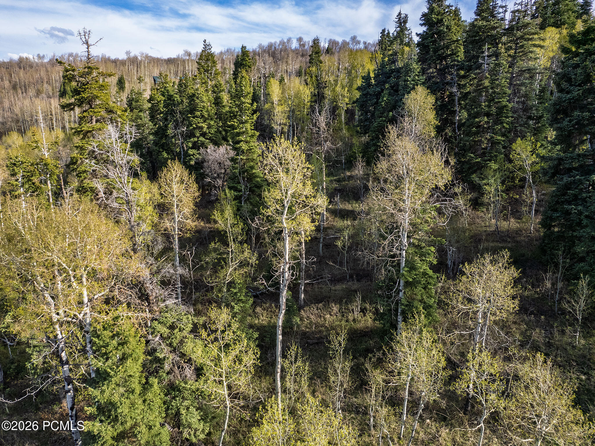 2462 S Bull Moose Drive 46