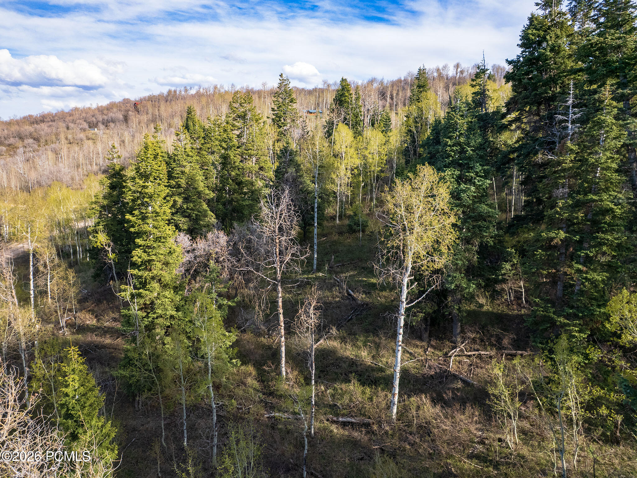 2462 S Bull Moose Drive 46