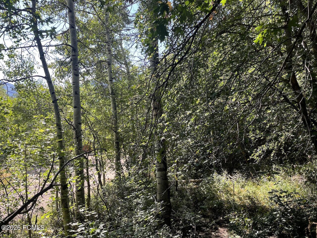 10337 N River Road 123