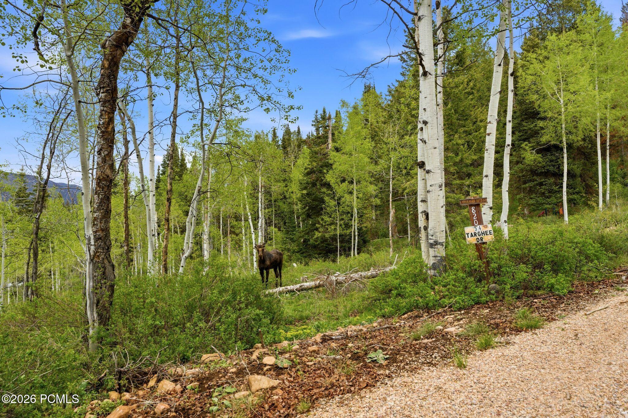 54 E Targhee Drive