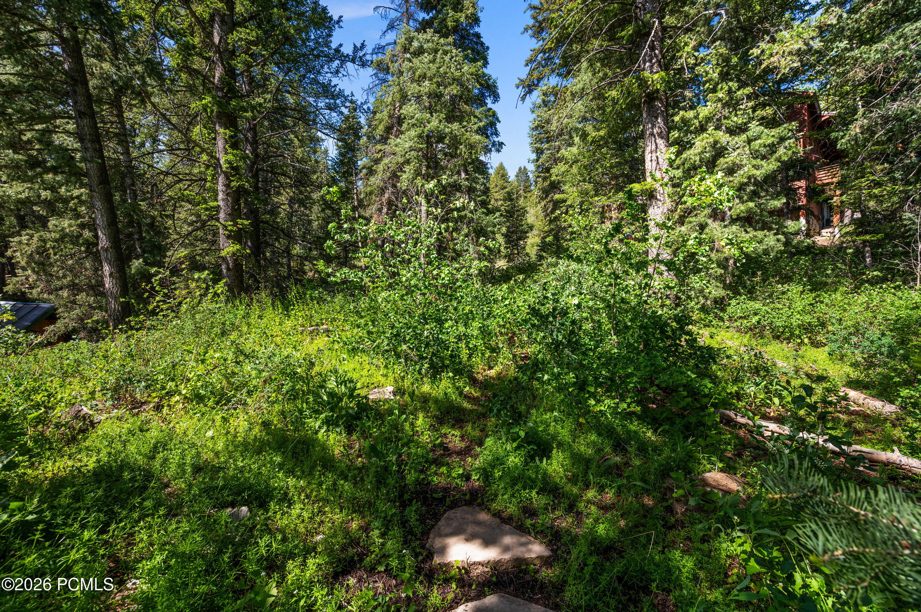 525 Upper Evergreen Drive