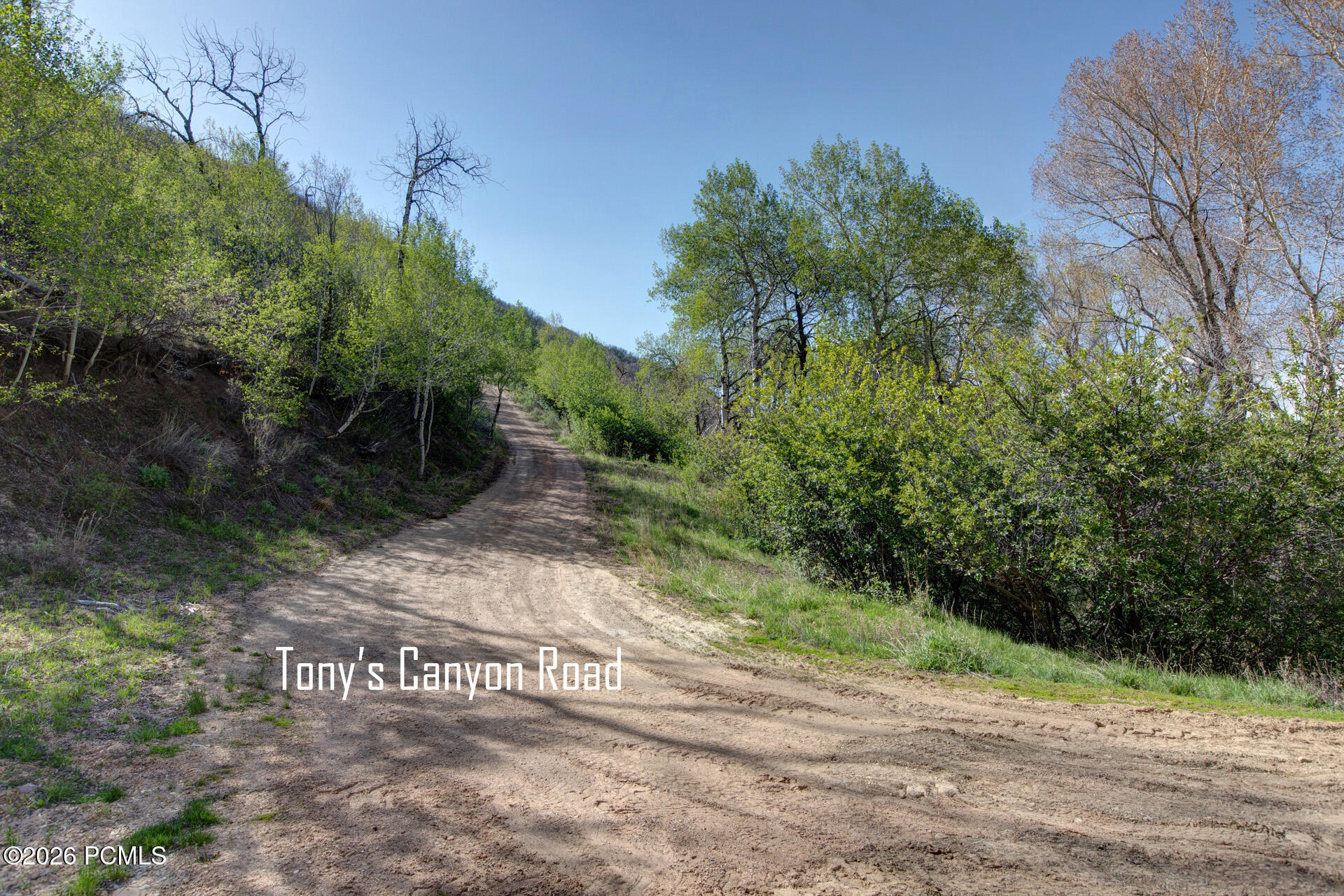 178 Skyline Road 130