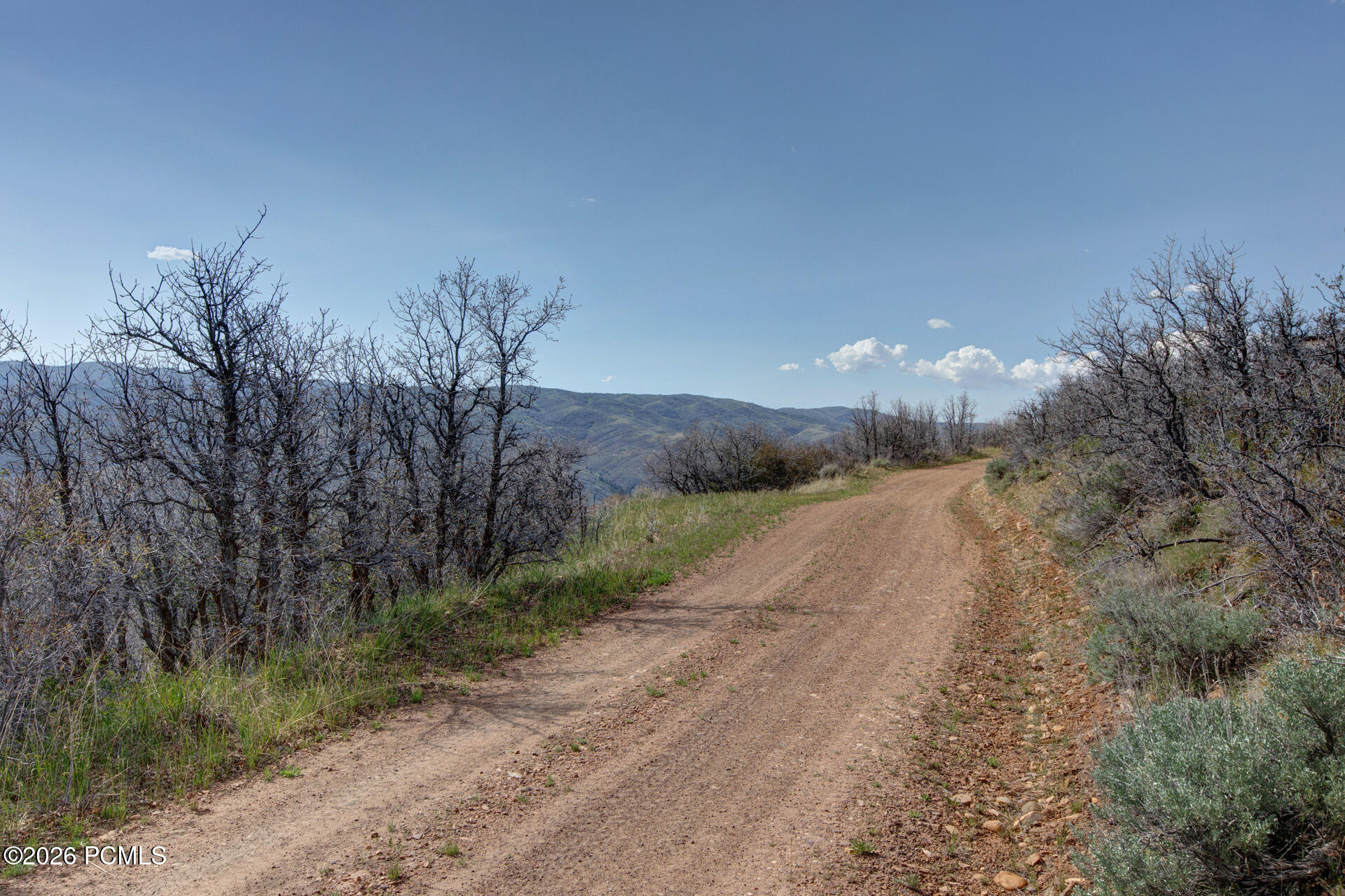 178 Skyline Road 130