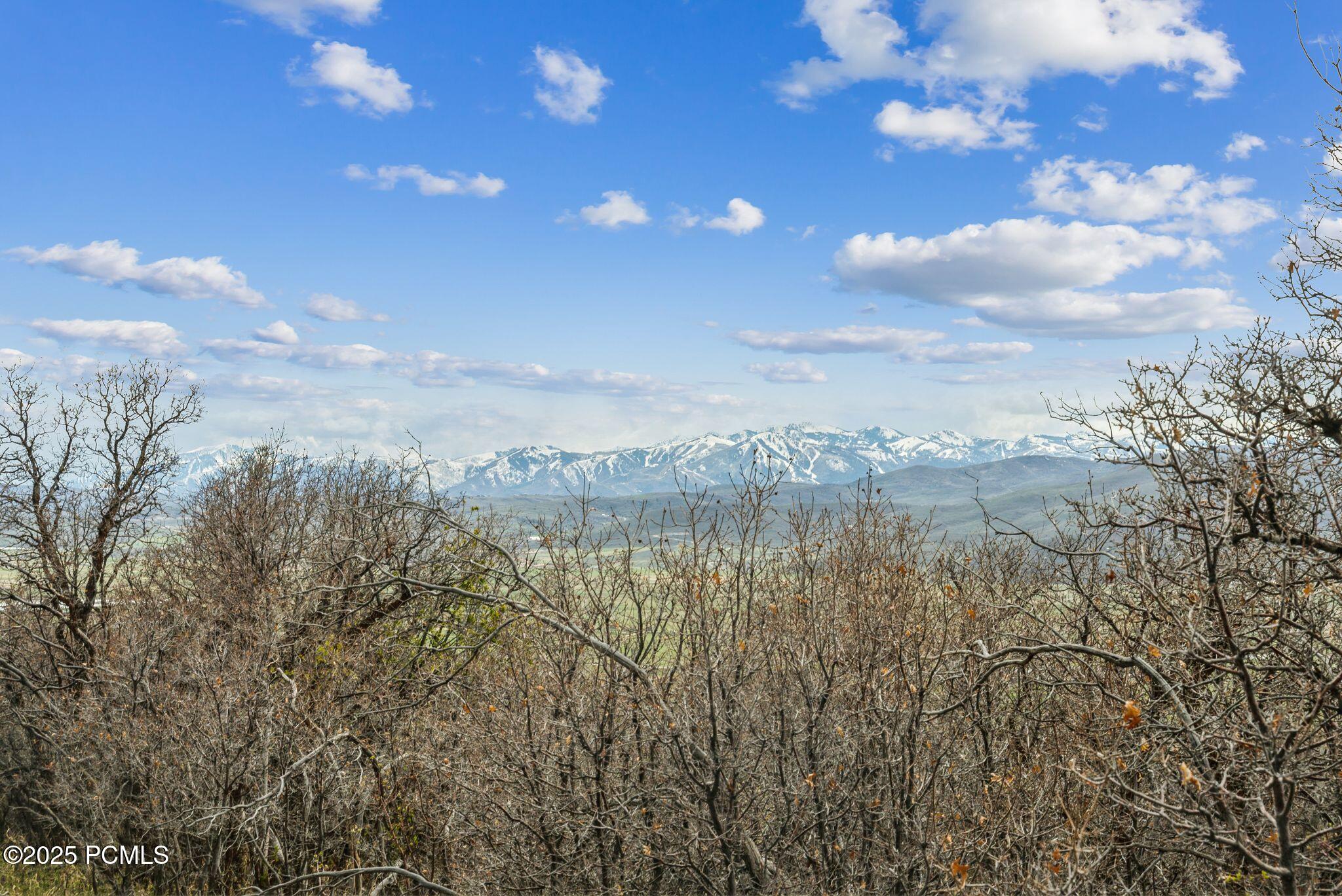 1081 Splendor Valley Road 56