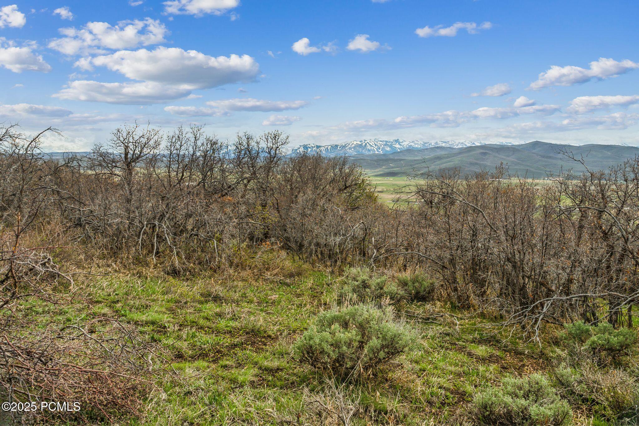 1081 Splendor Valley Road 56