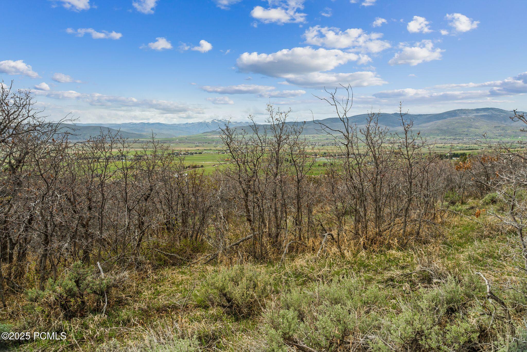 1081 Splendor Valley Road 56