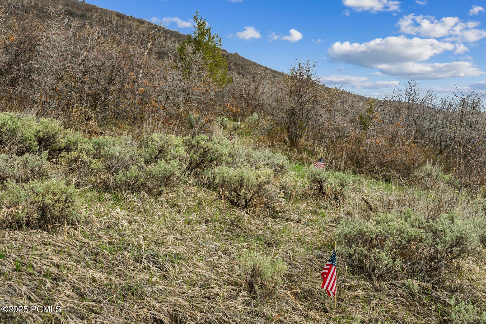 1081 Splendor Valley Road 56
