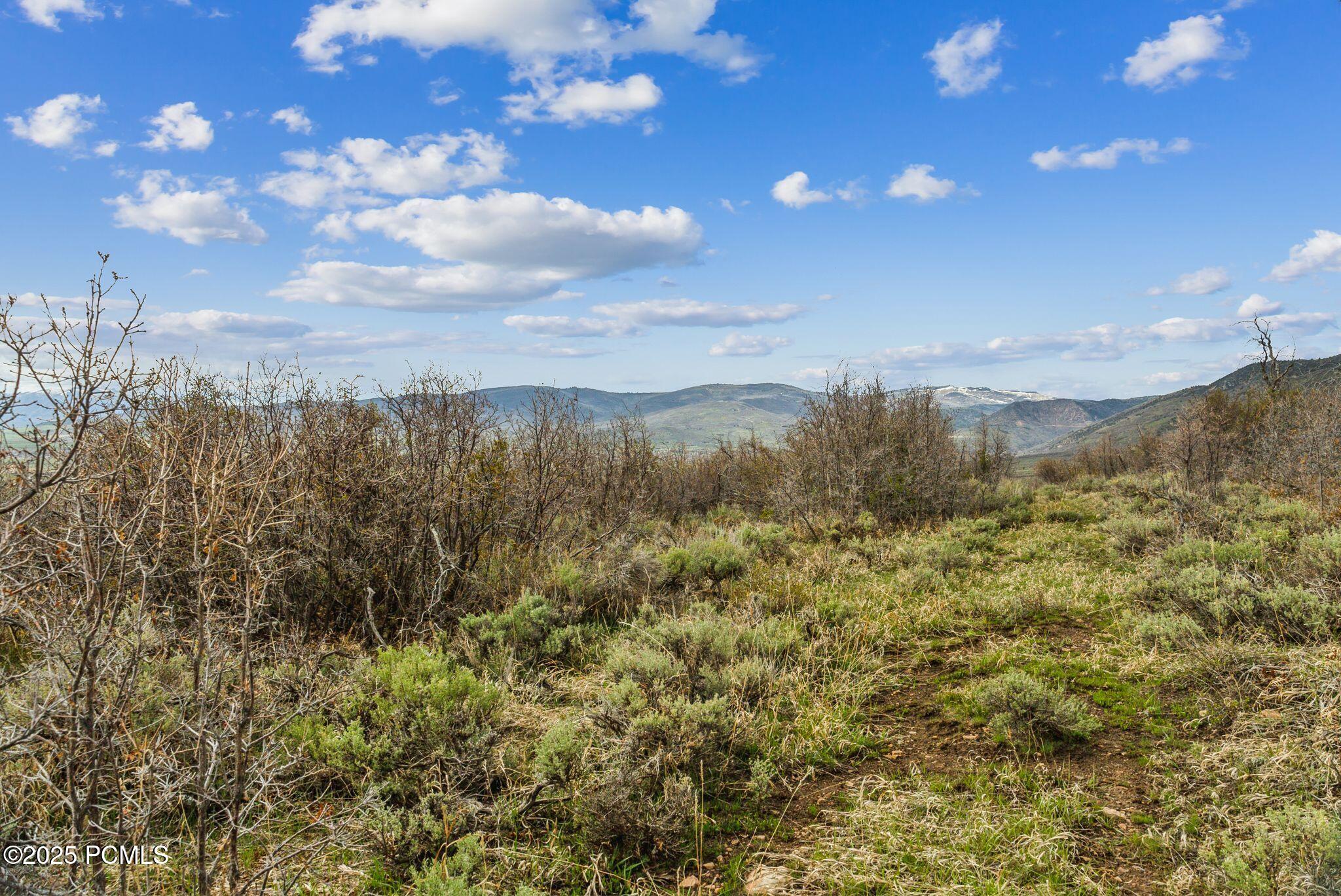 1081 Splendor Valley Road 56