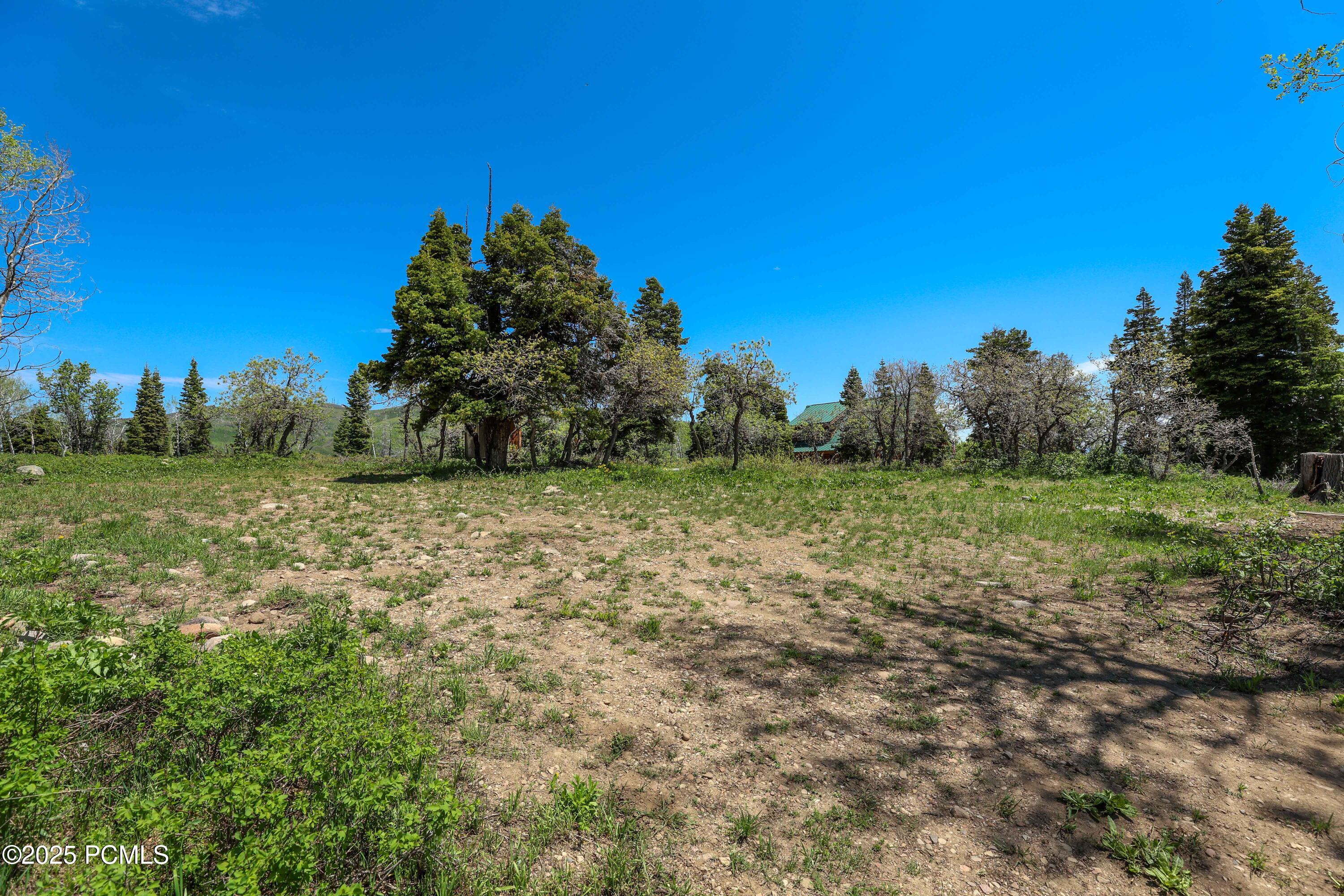 1172 W Maple Place