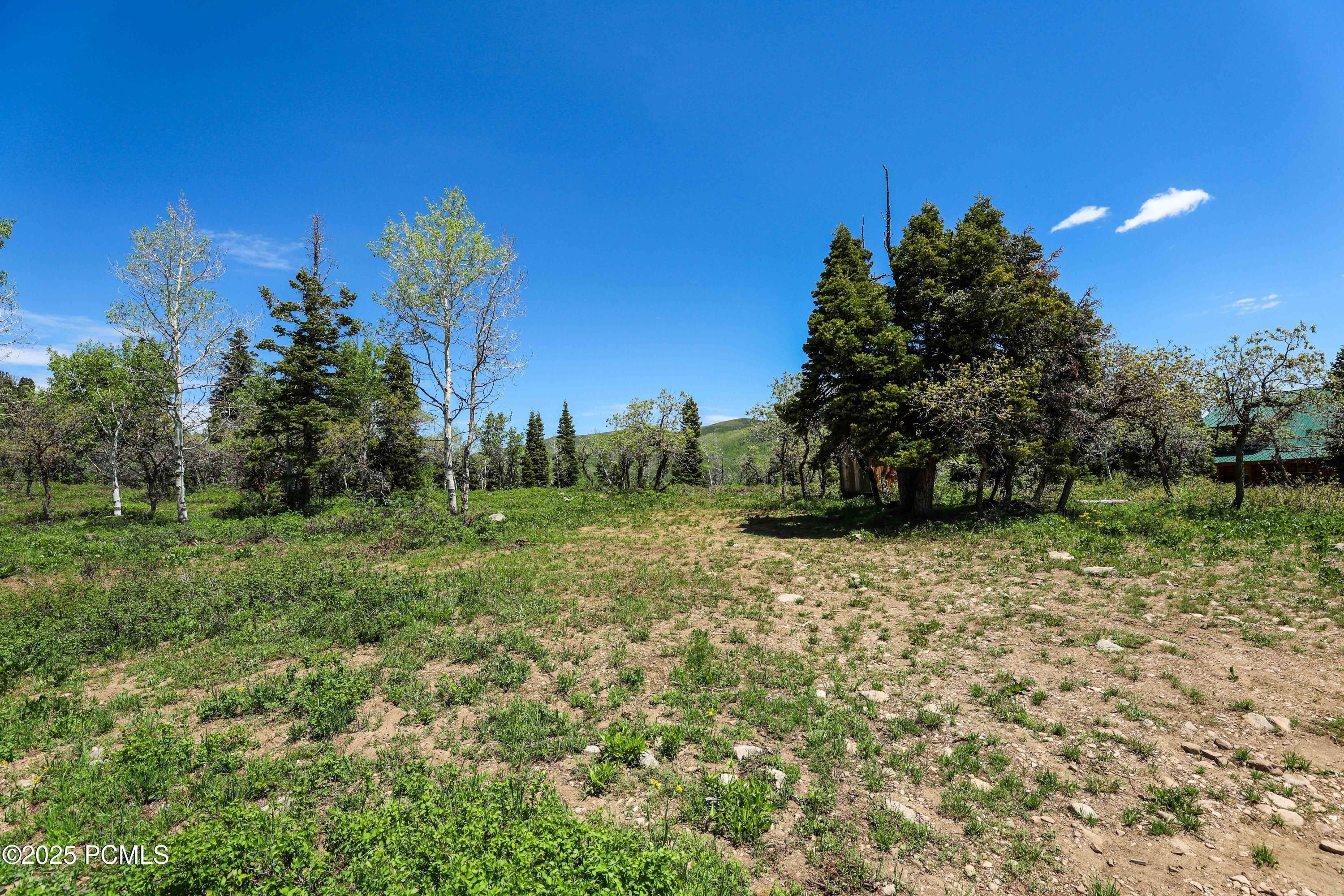1172 W Maple Place
