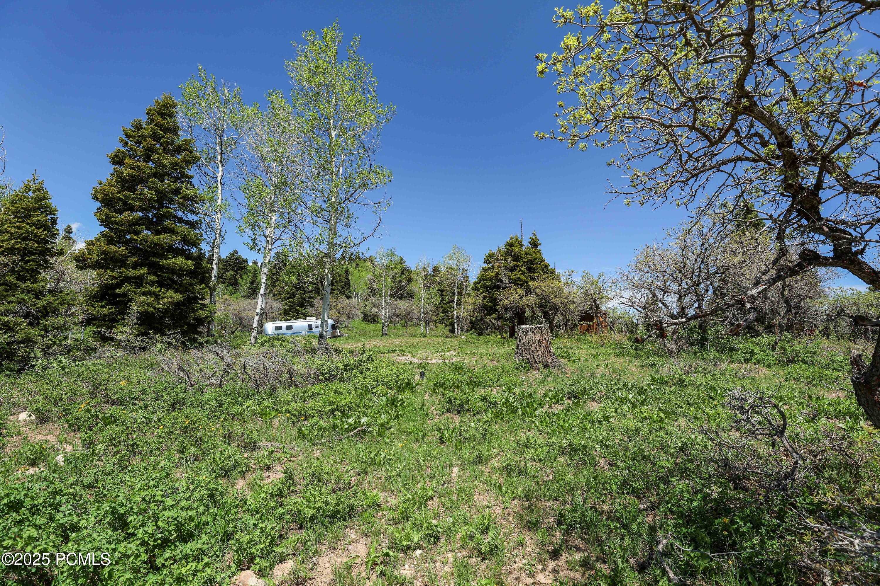 1172 W Maple Place