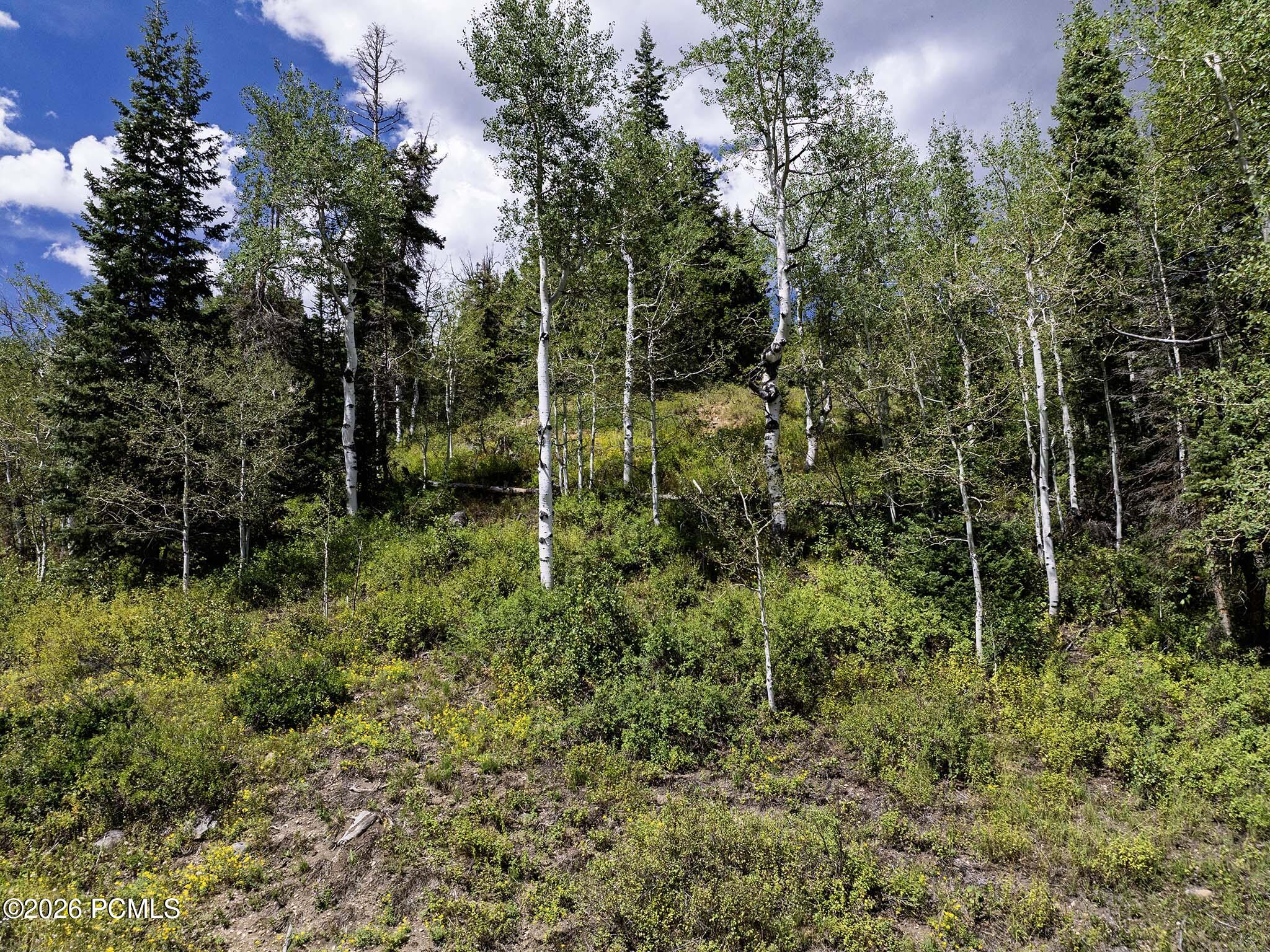 1826 W Alexander Canyon