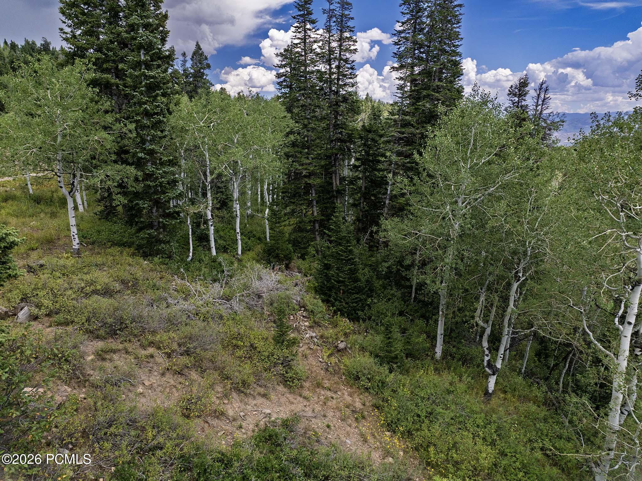 1826 W Alexander Canyon