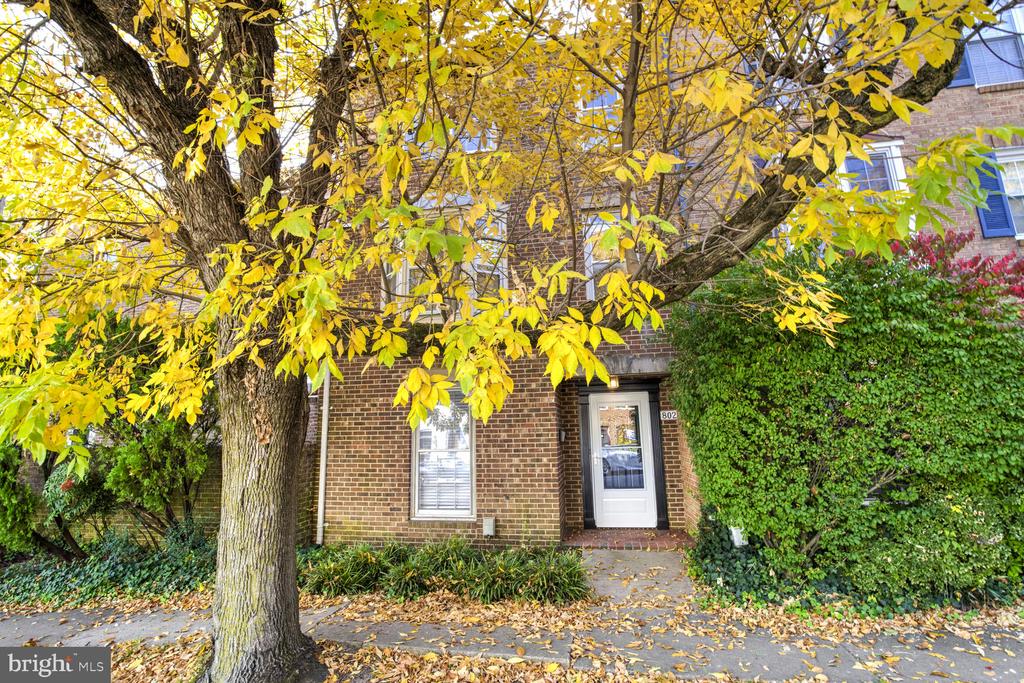 802 GIBBON STREET