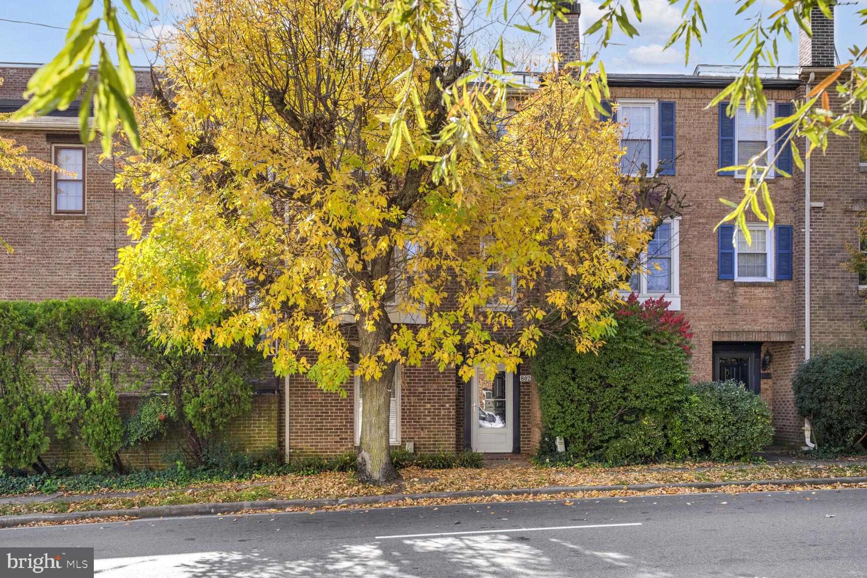 802 GIBBON STREET