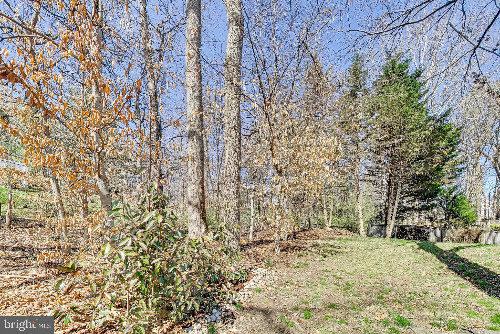 8404 CHILLUM COURT