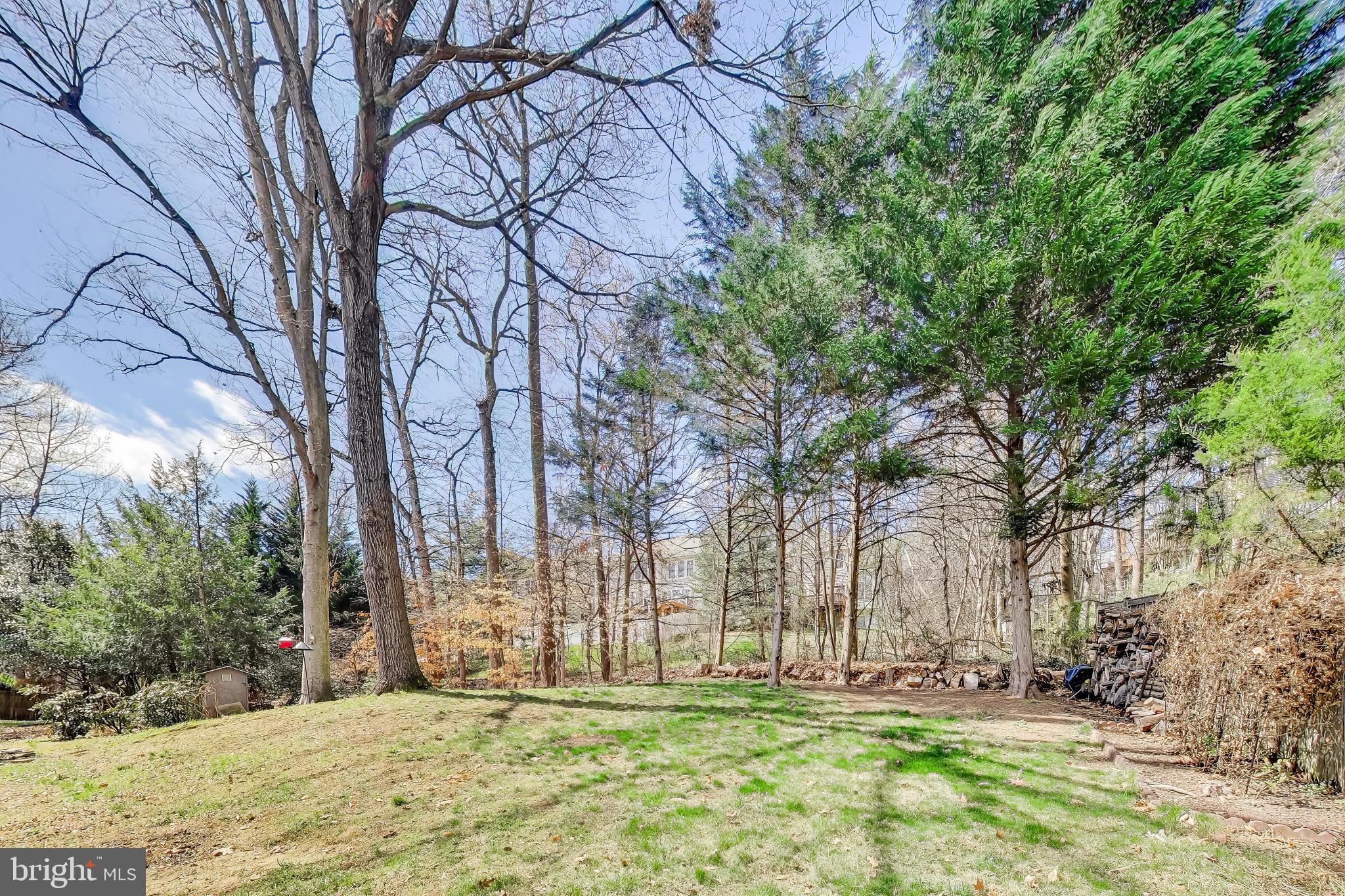 8404 CHILLUM COURT