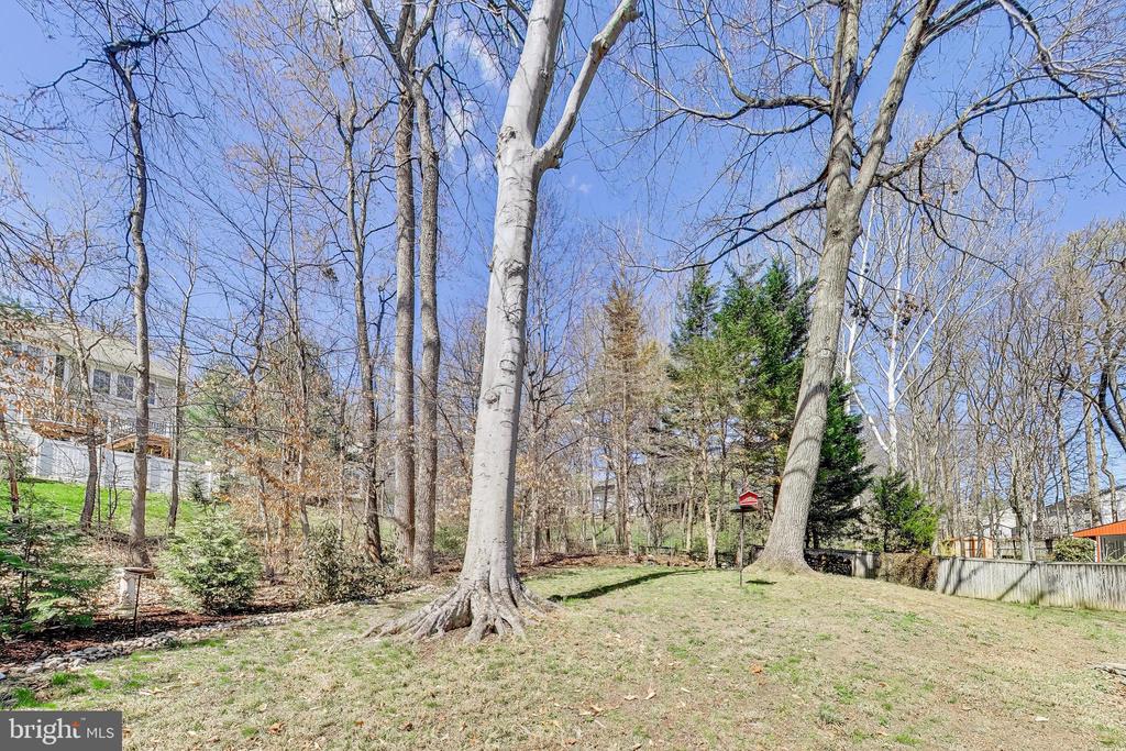 8404 CHILLUM COURT
