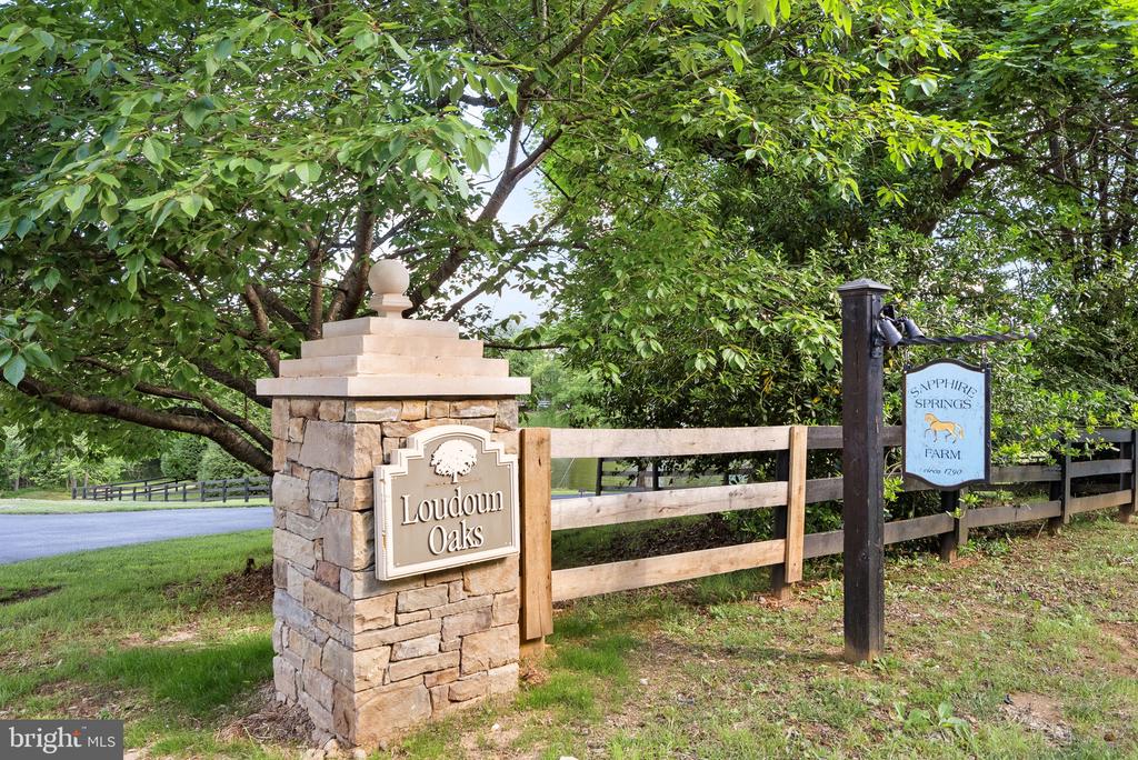 36437 Whispering Springs Ct