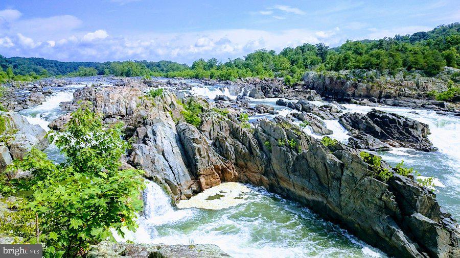 21668 CALAMARY CIRCLE