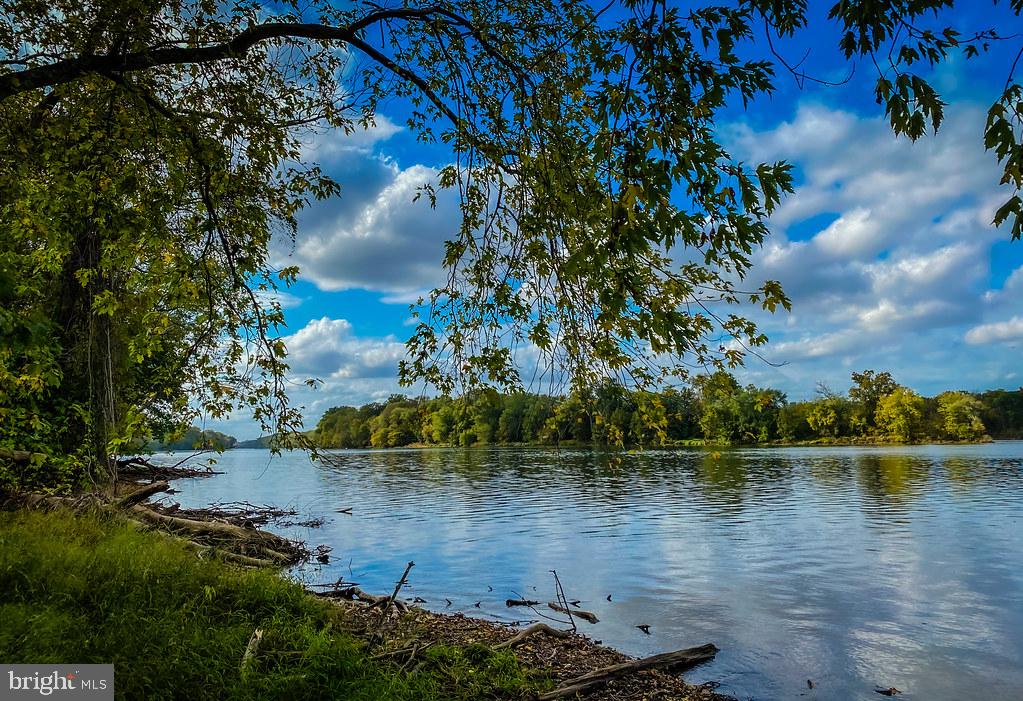 21668 CALAMARY CIRCLE