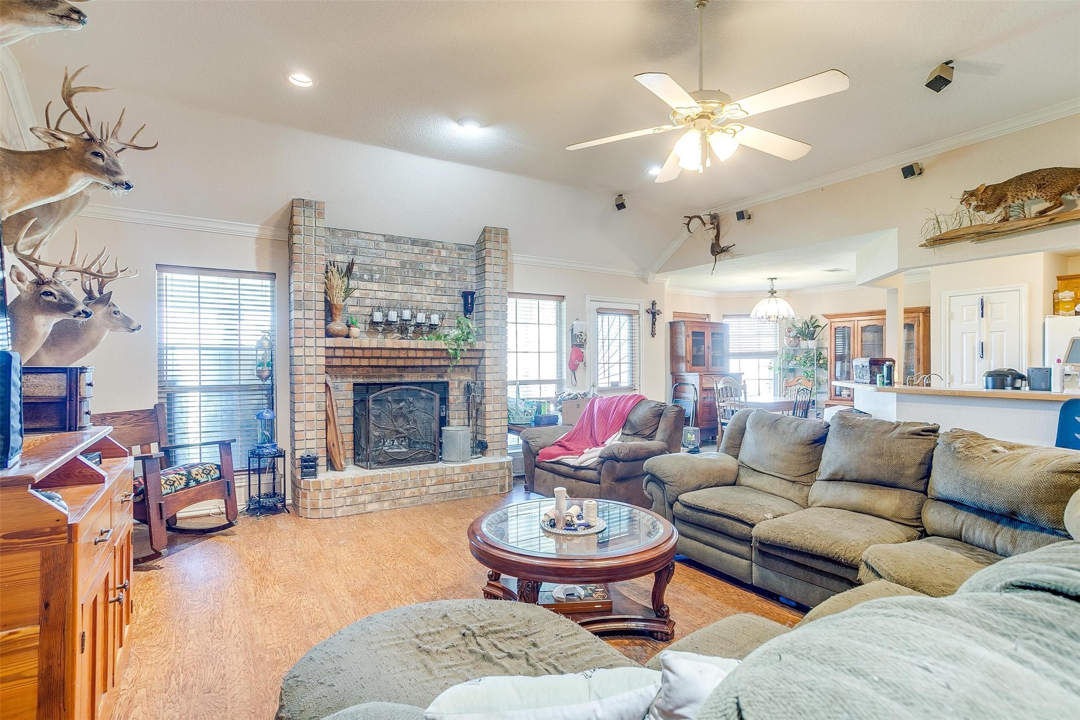 233 Brandon Drive