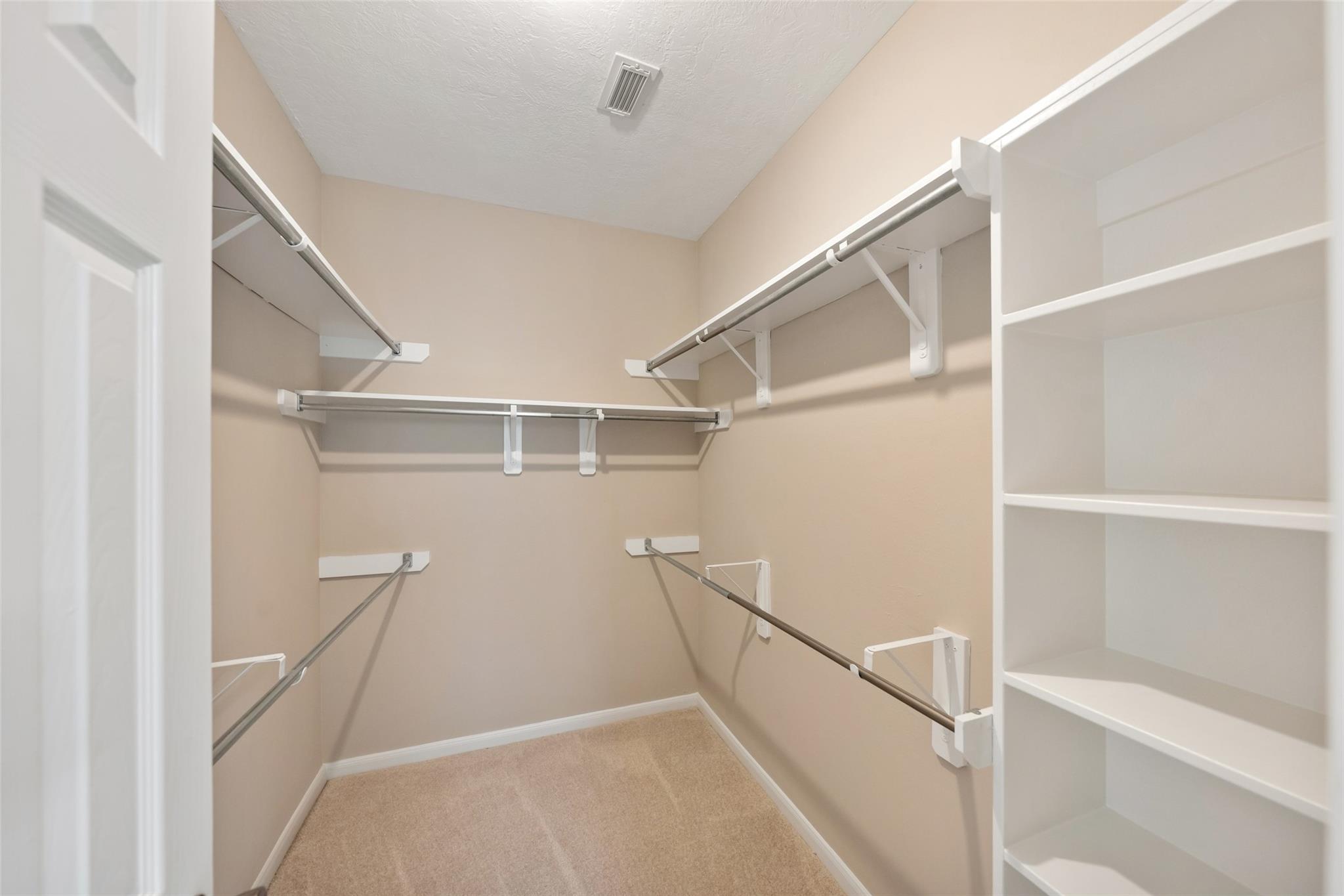 13422 Yaupon Holly Lane