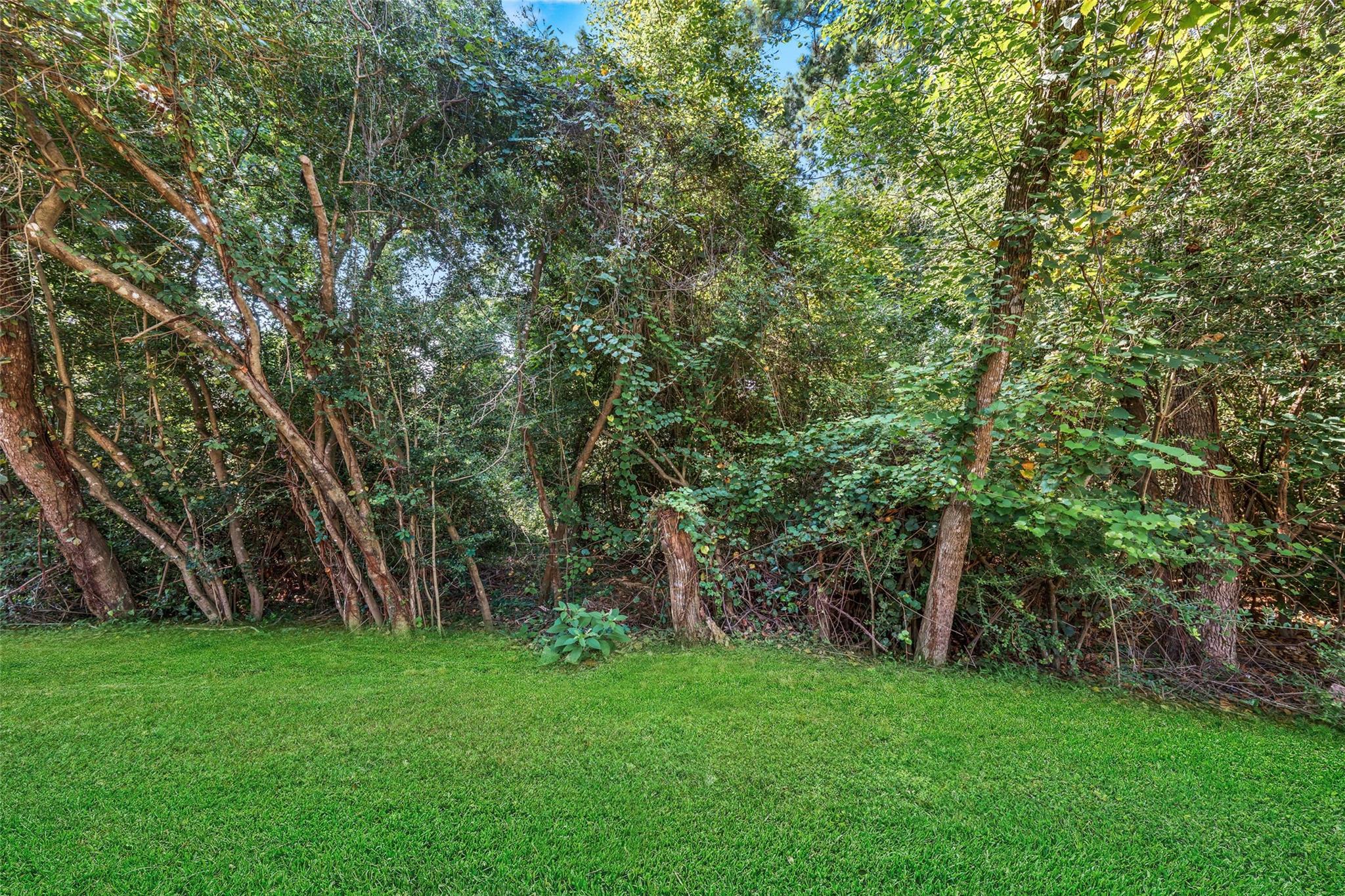 13422 Yaupon Holly Lane
