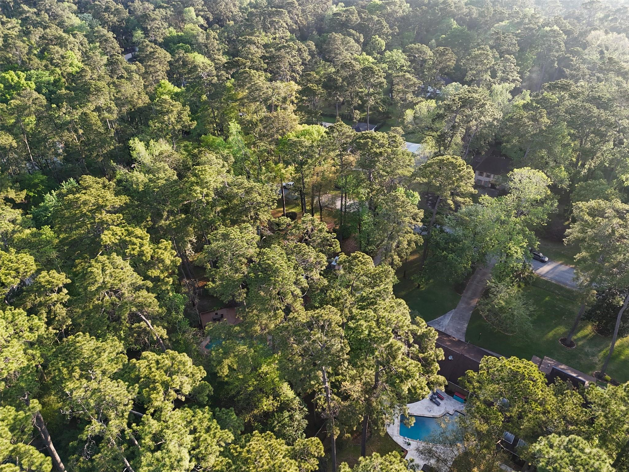 2918 Kings Forest Drive