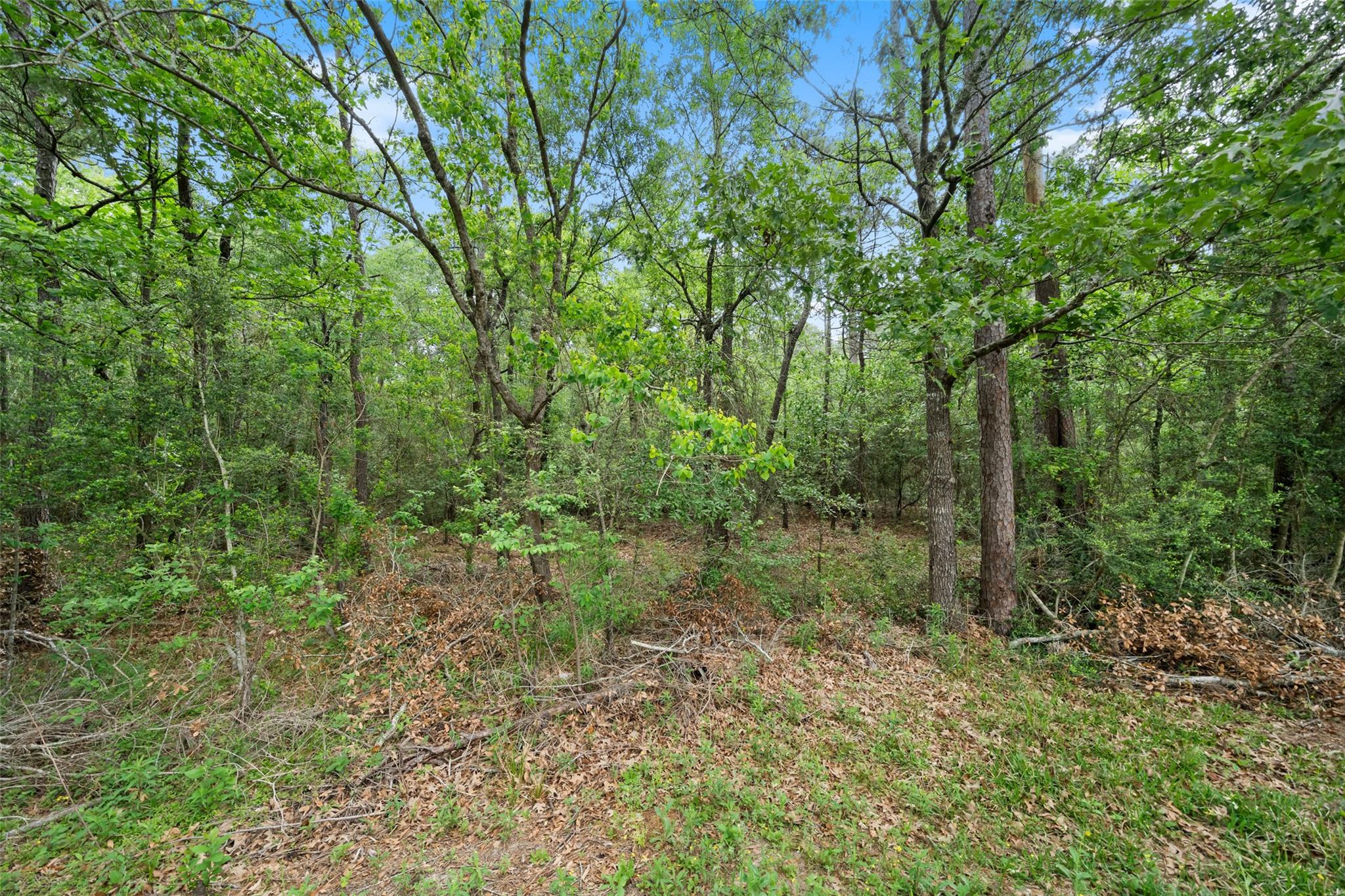 18118 Outback Lakes Trail