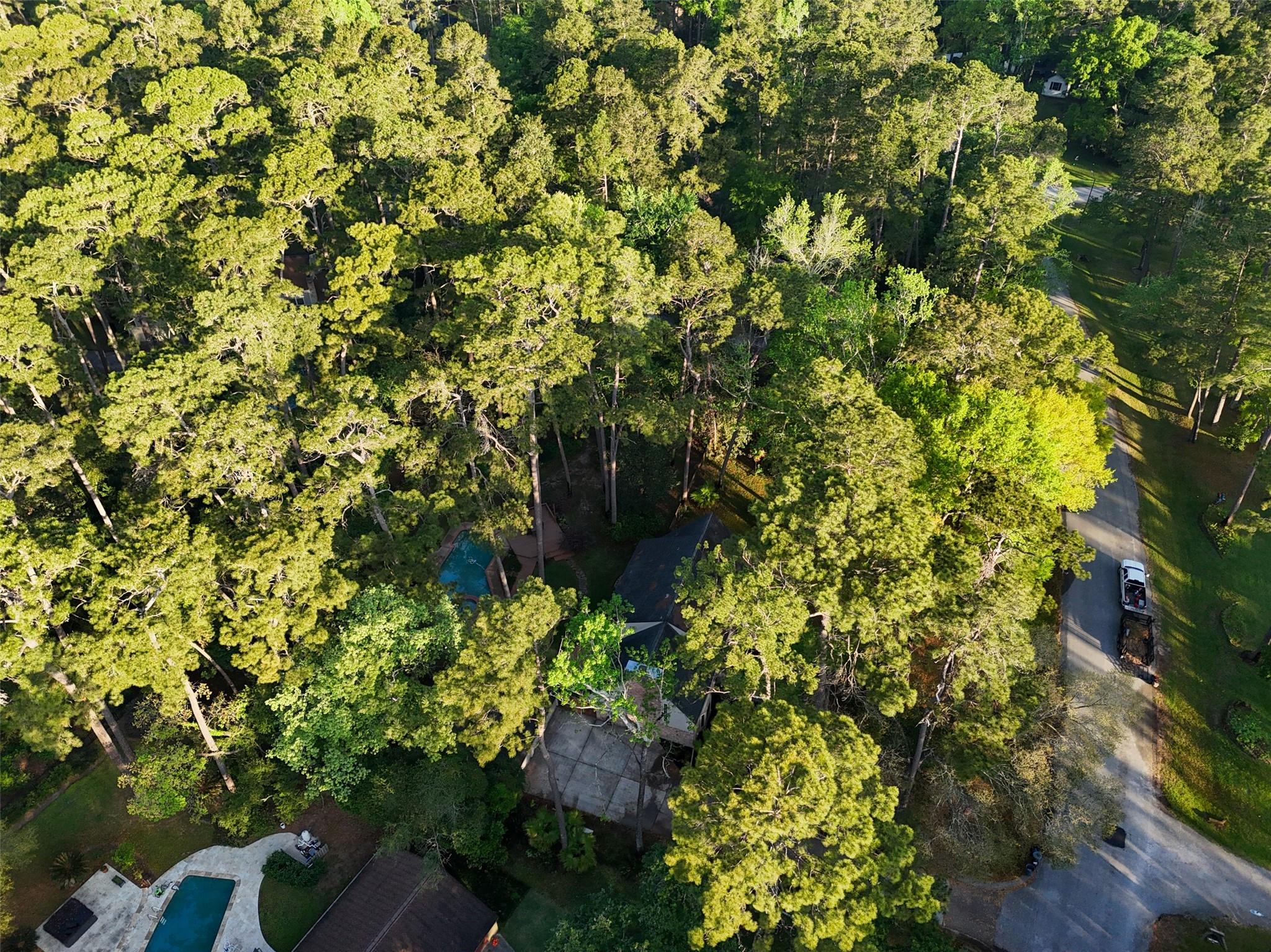 2918 Kings Forest Drive