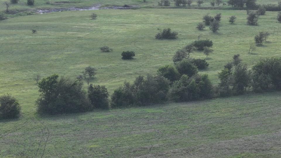 TBD Block 2 Lot 3 Hackberry Road