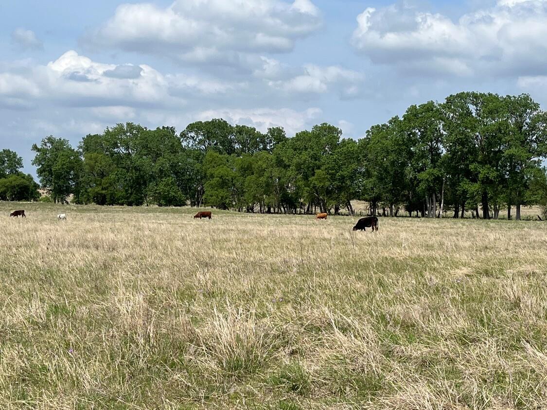 000 County Rd 269