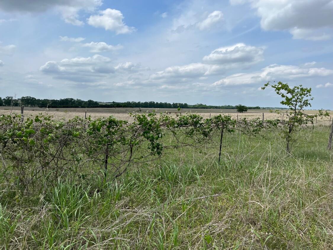 000 County Rd 269