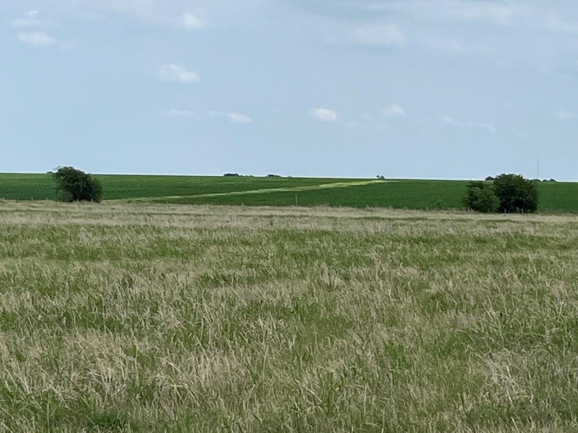000 County Rd 269