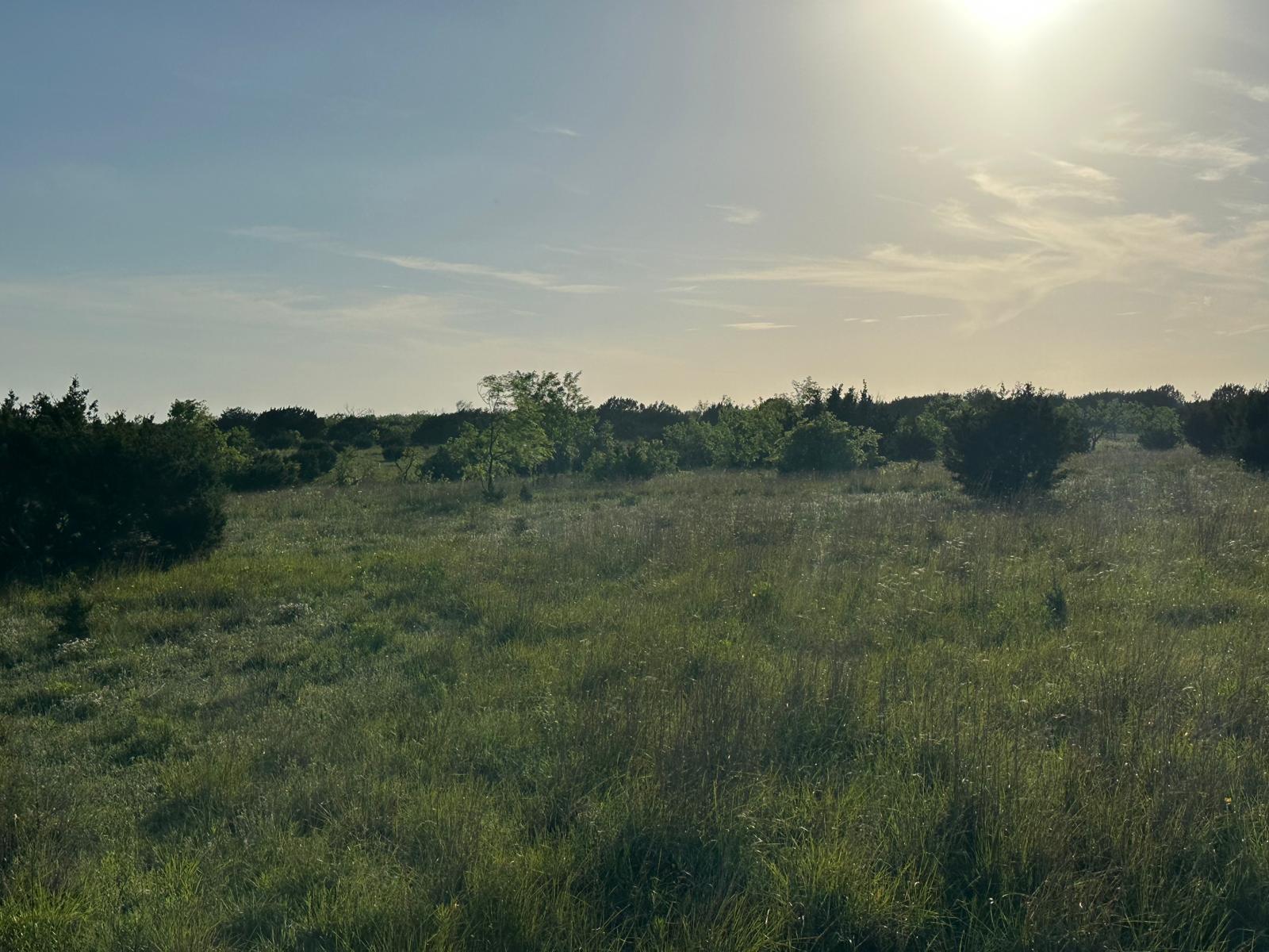 TBD Lot 2 - County Rd 210