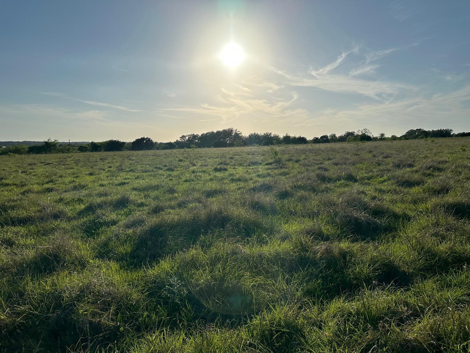 TBD Lot 2 - County Rd 210