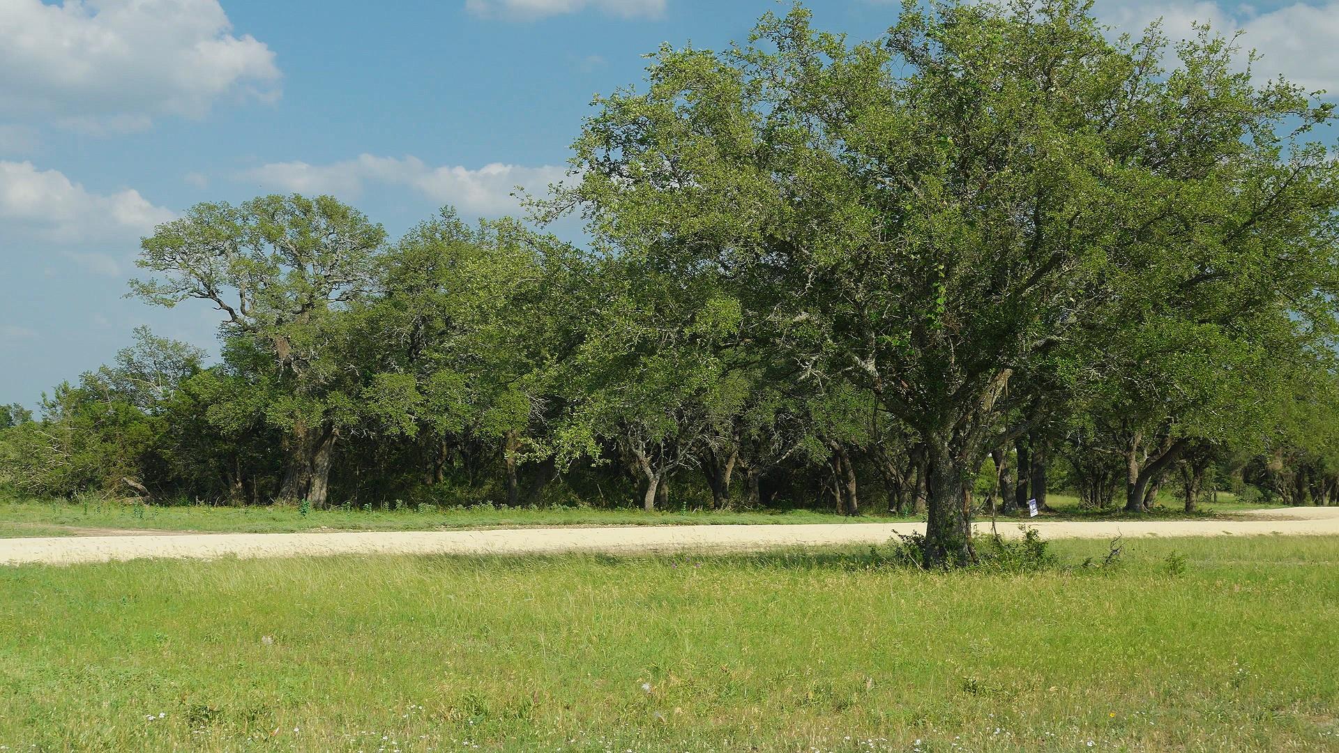 TBD Lot 5 County Rd 210