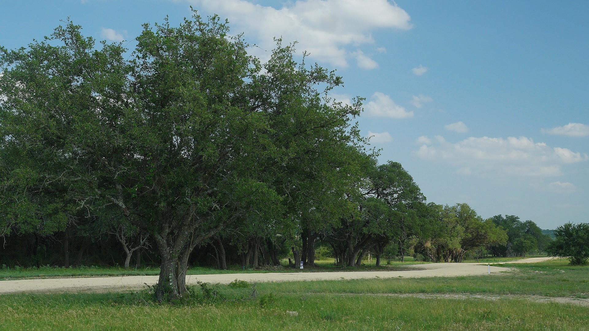 TBD Lot 5 County Rd 210