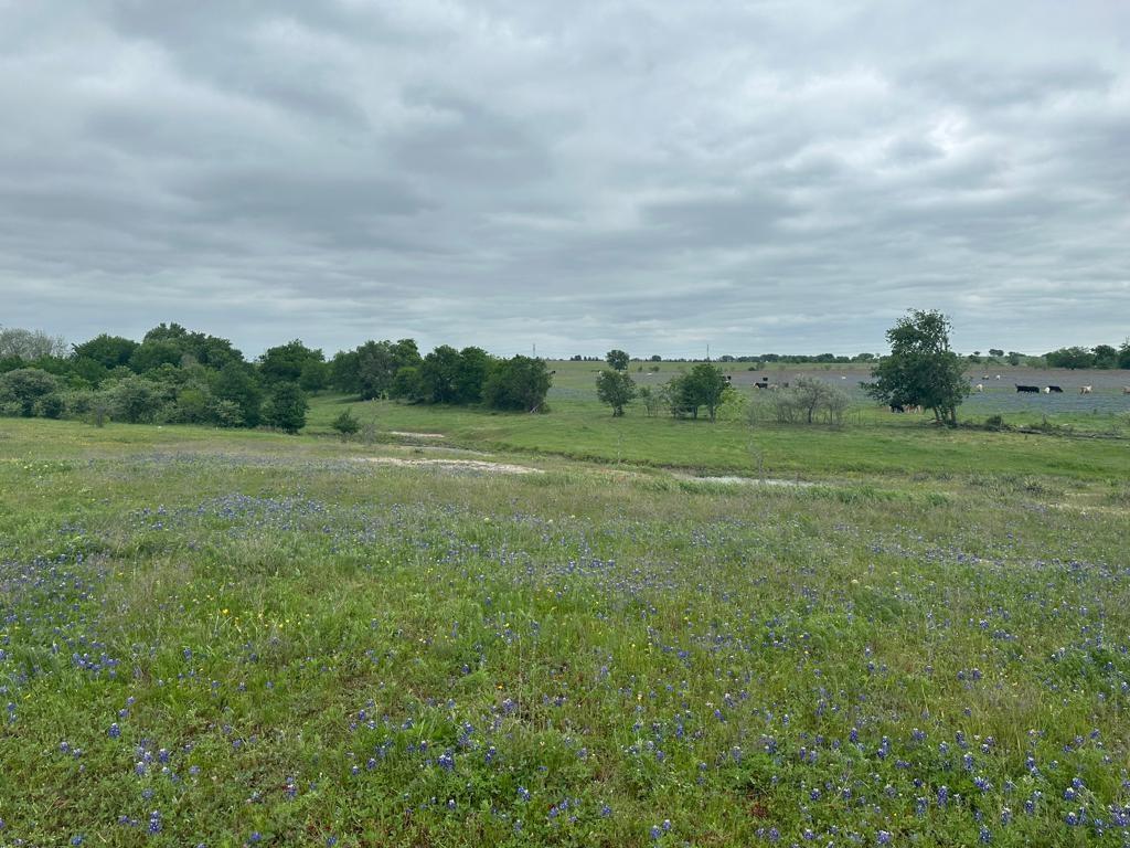 TBD Hackberry RD