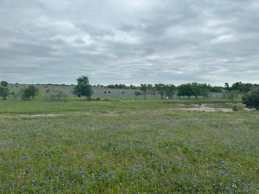 TBD Hackberry RD