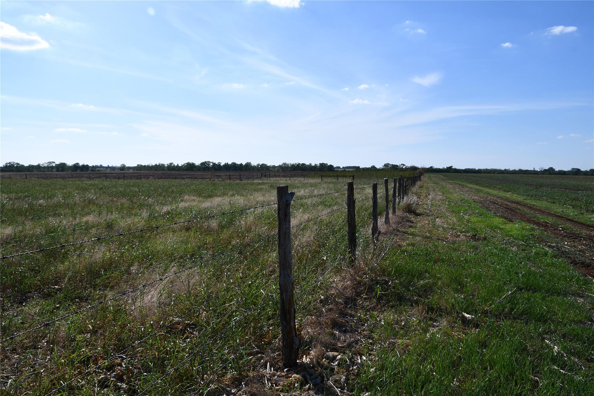 TBD 000 County Rd 269