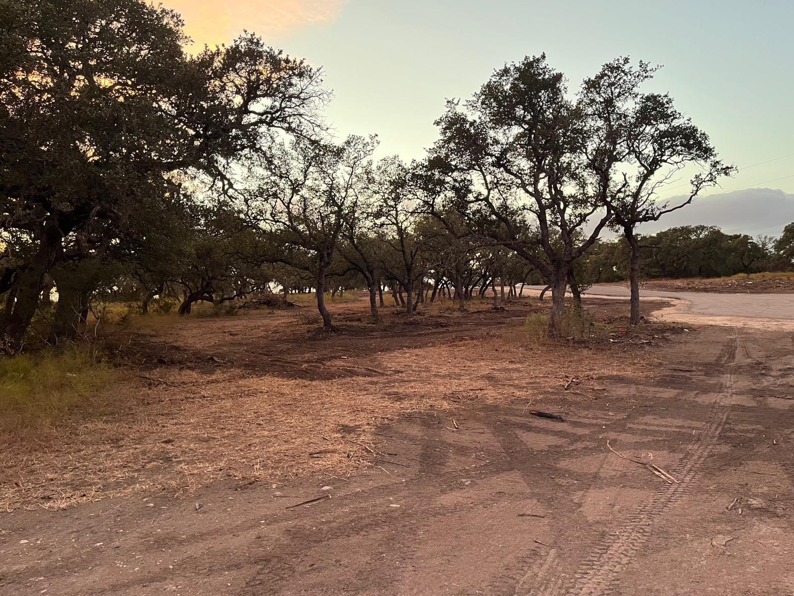 TBD Lot 10 County Road 340