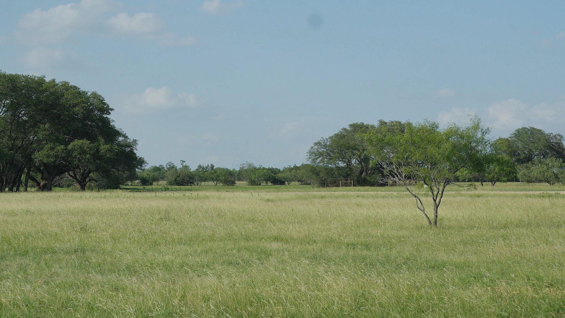 TBD Lot 7 County Rd 210