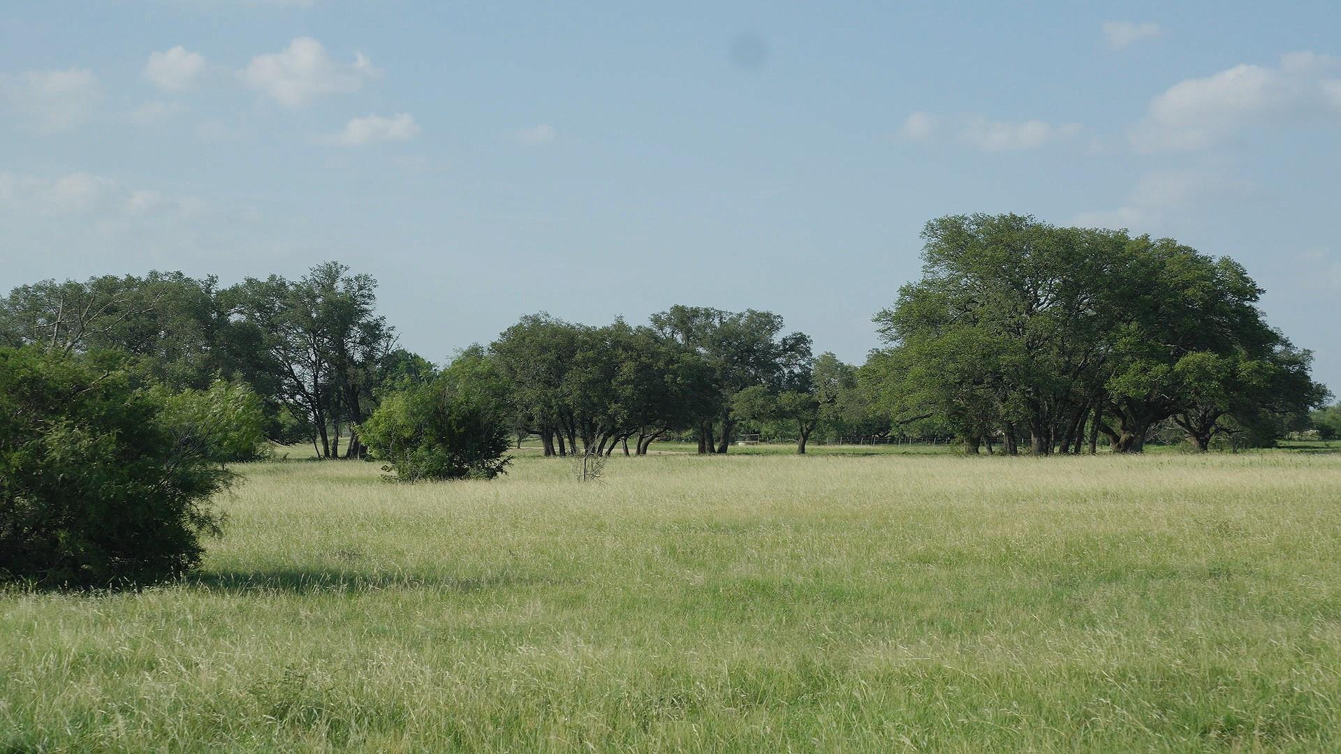 TBD Lot 7 County Rd 210