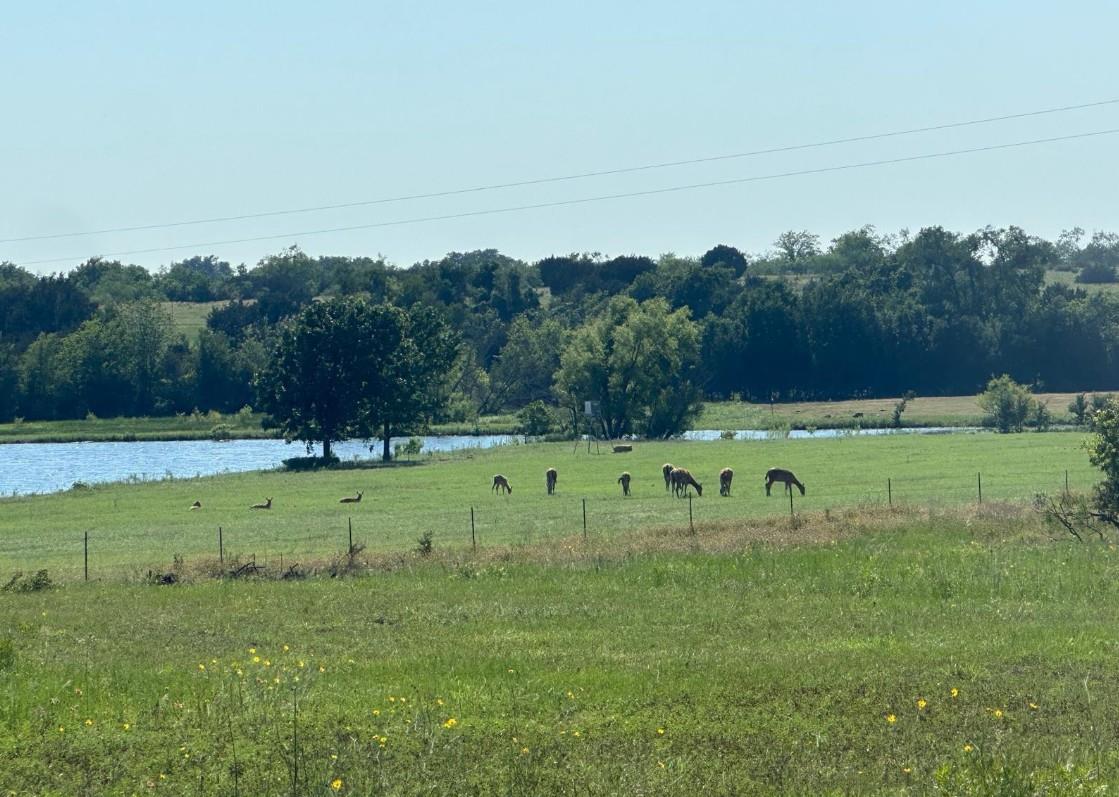 7800 County Road 210