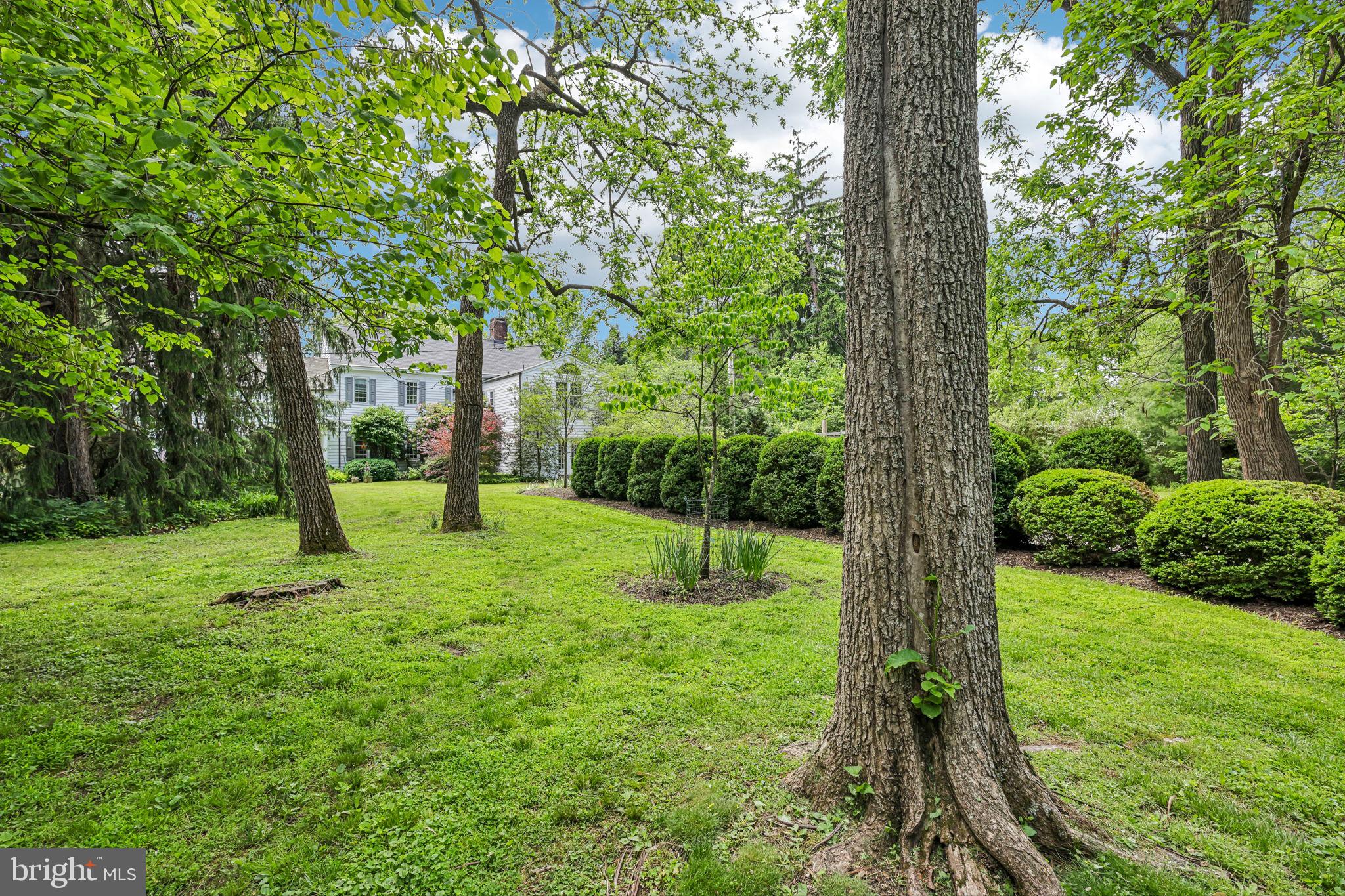 82 TERHUNE ROAD