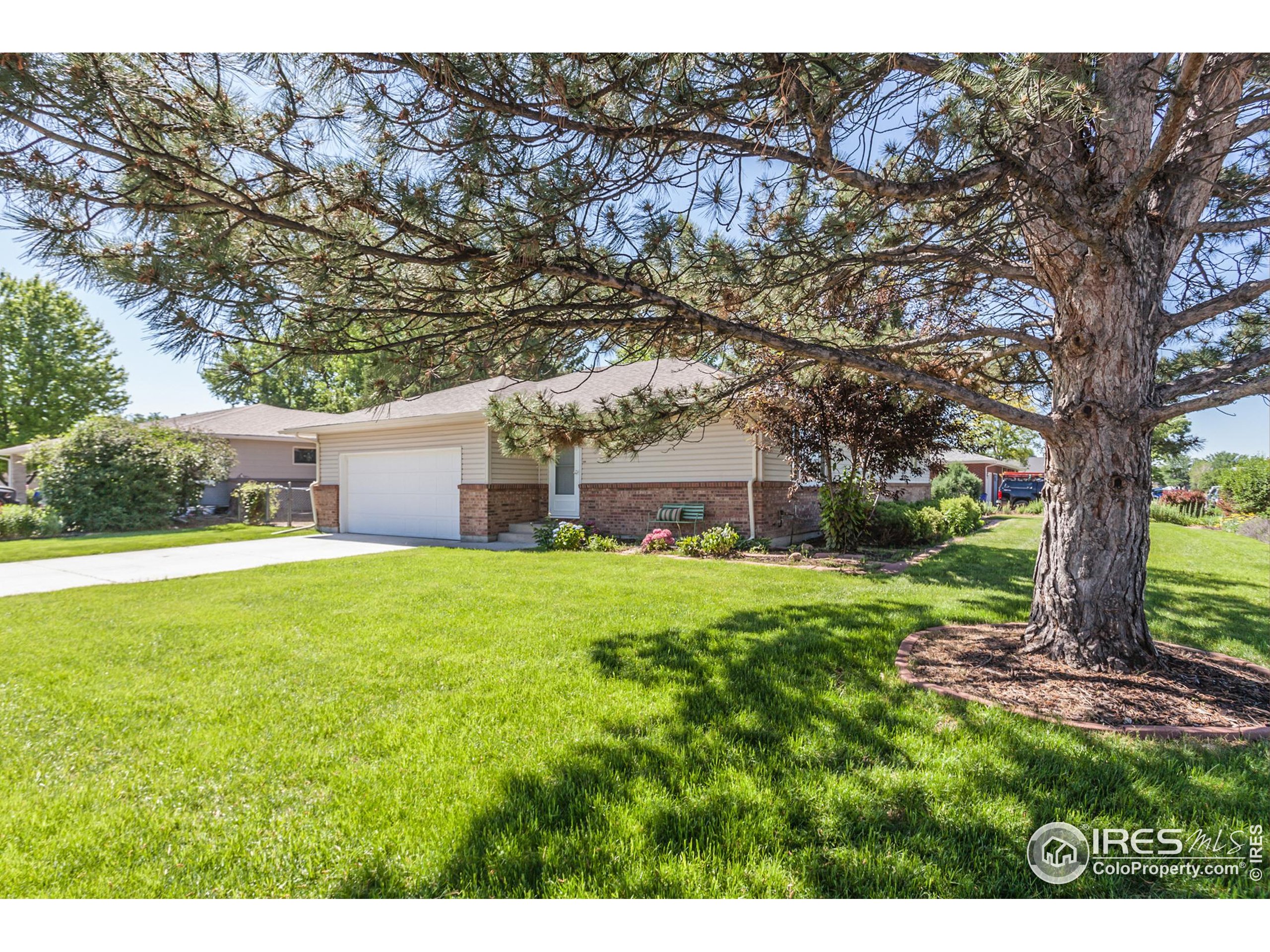 205 Maple Ct