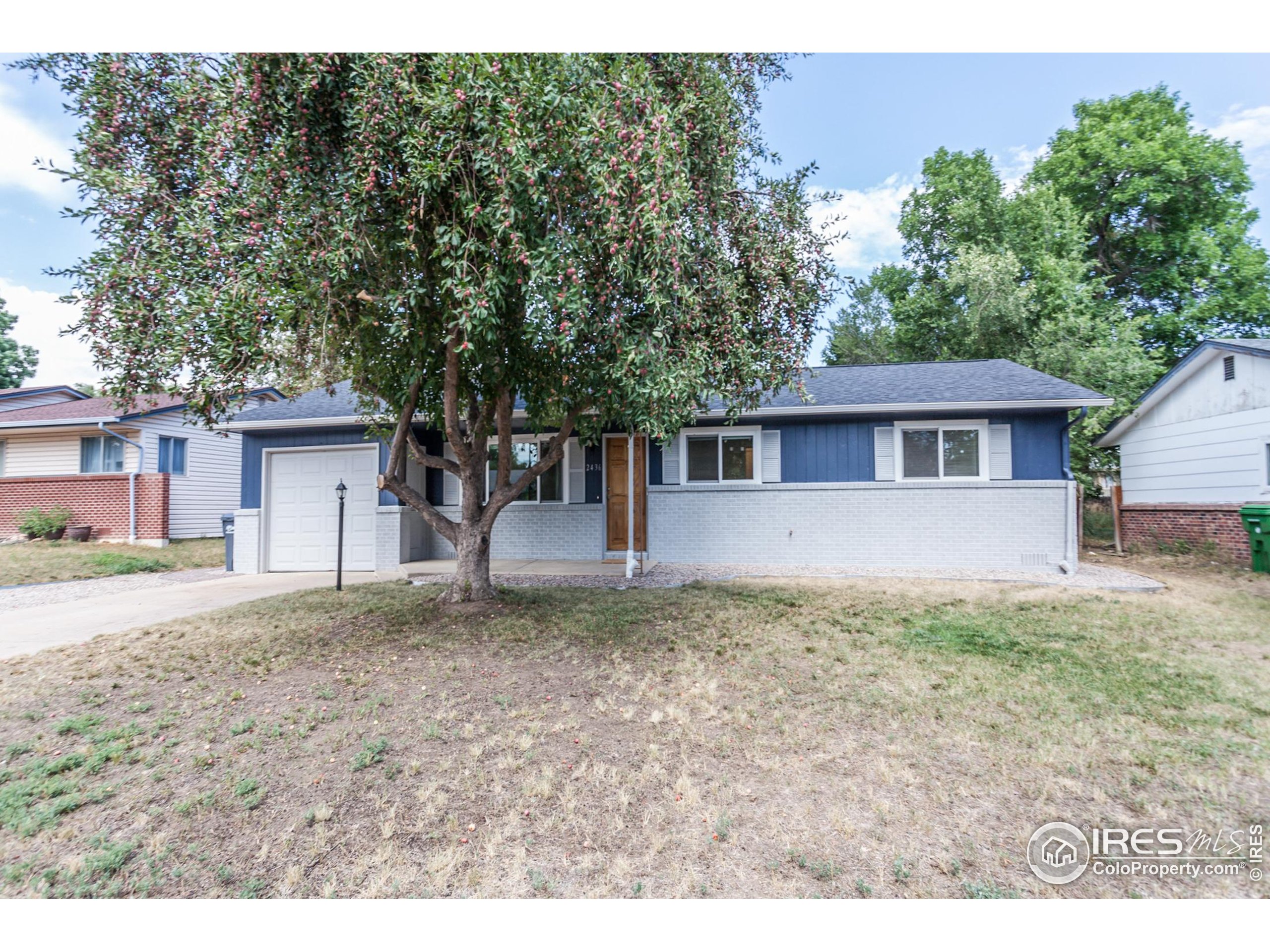 2436 Poplar Dr