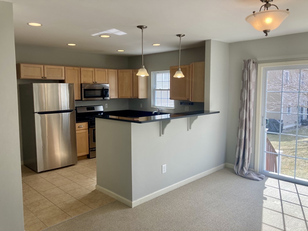 45 Turtle Brook Rd # 45